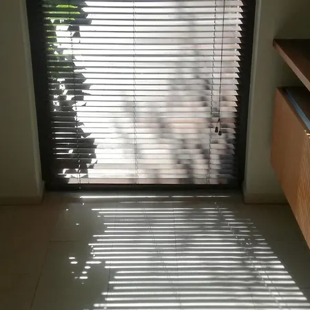 Apartmán With Garden In Center
